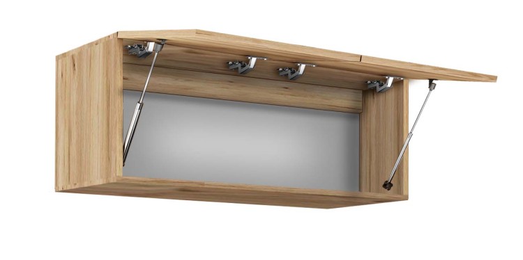 PAWLACZ 100 ZŁOTY.jpg