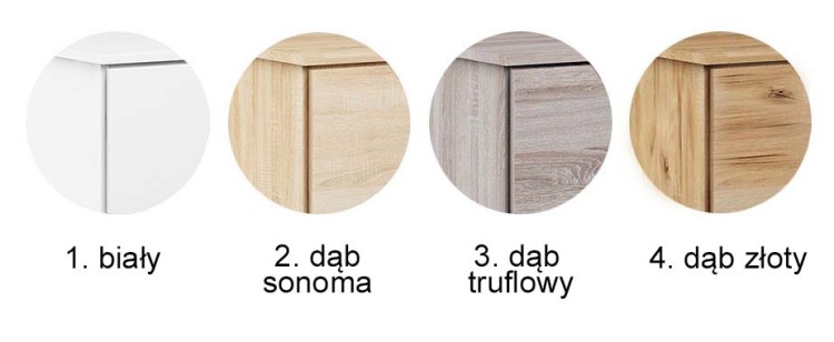 4 kolory główne.jpg