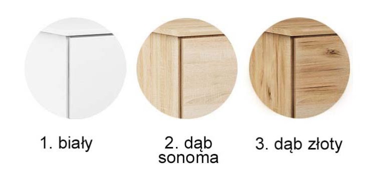 3 kolory główne.jpg