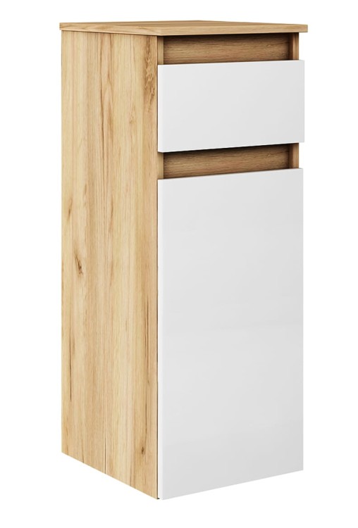 1S1D dab zloty (1).jpg