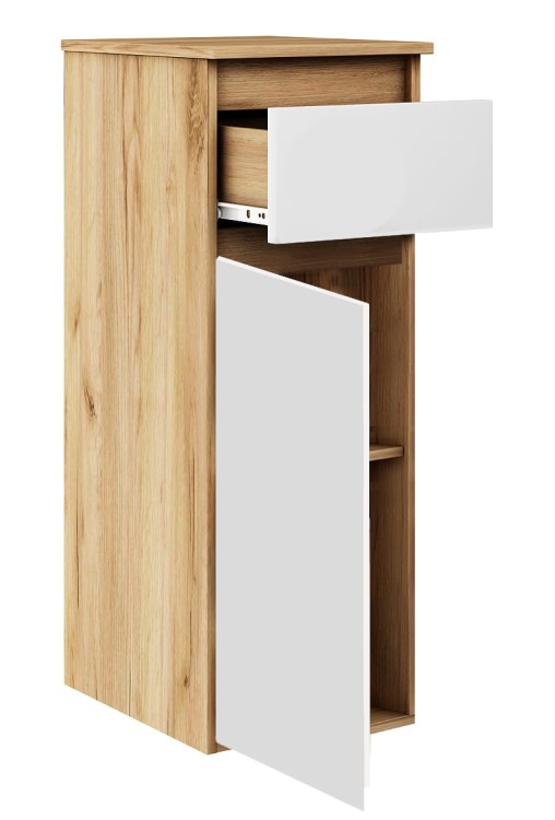 1S1D dab zloty (2).jpg