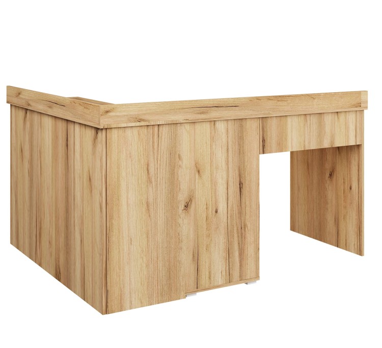 michal III zloty odw tyl.jpg