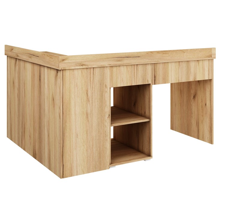 michal I zloty odw tyl.jpg